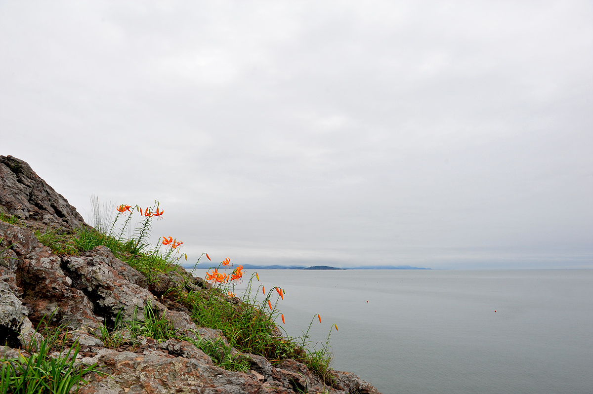 DSC_0002ss.jpg