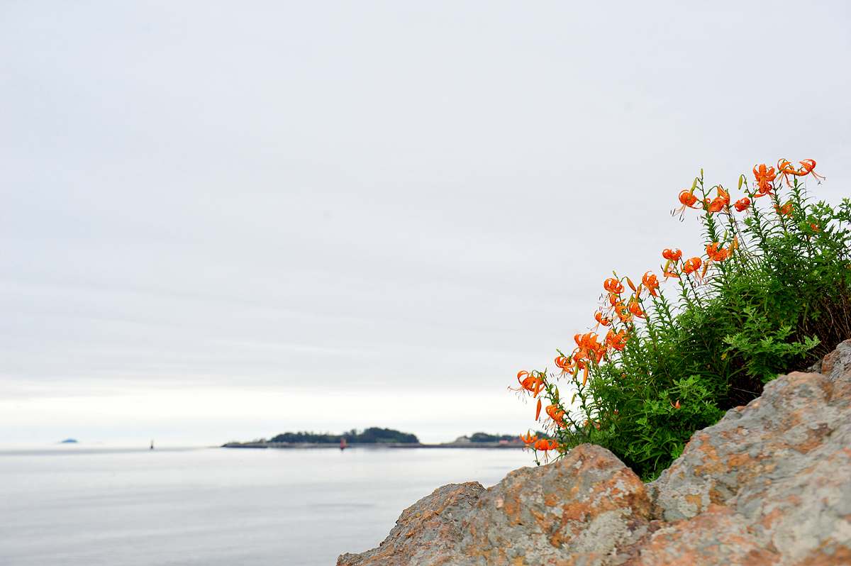 DSC_0020ss.jpg