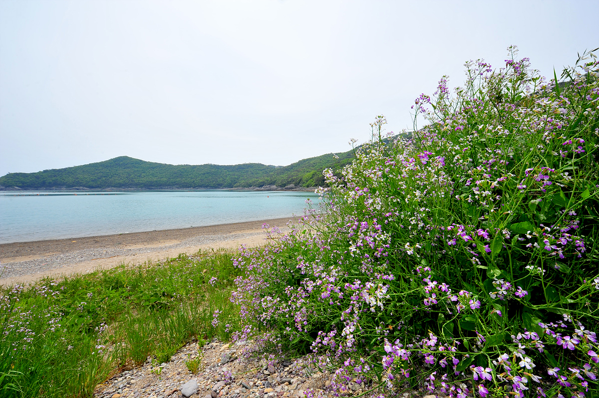 DSC_9080s.jpg