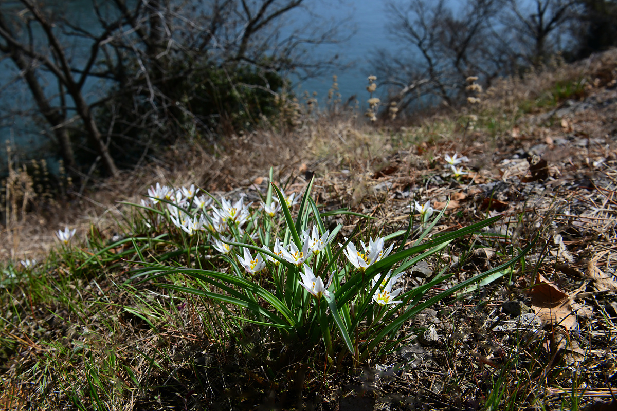 DSC_4846xcv.jpg