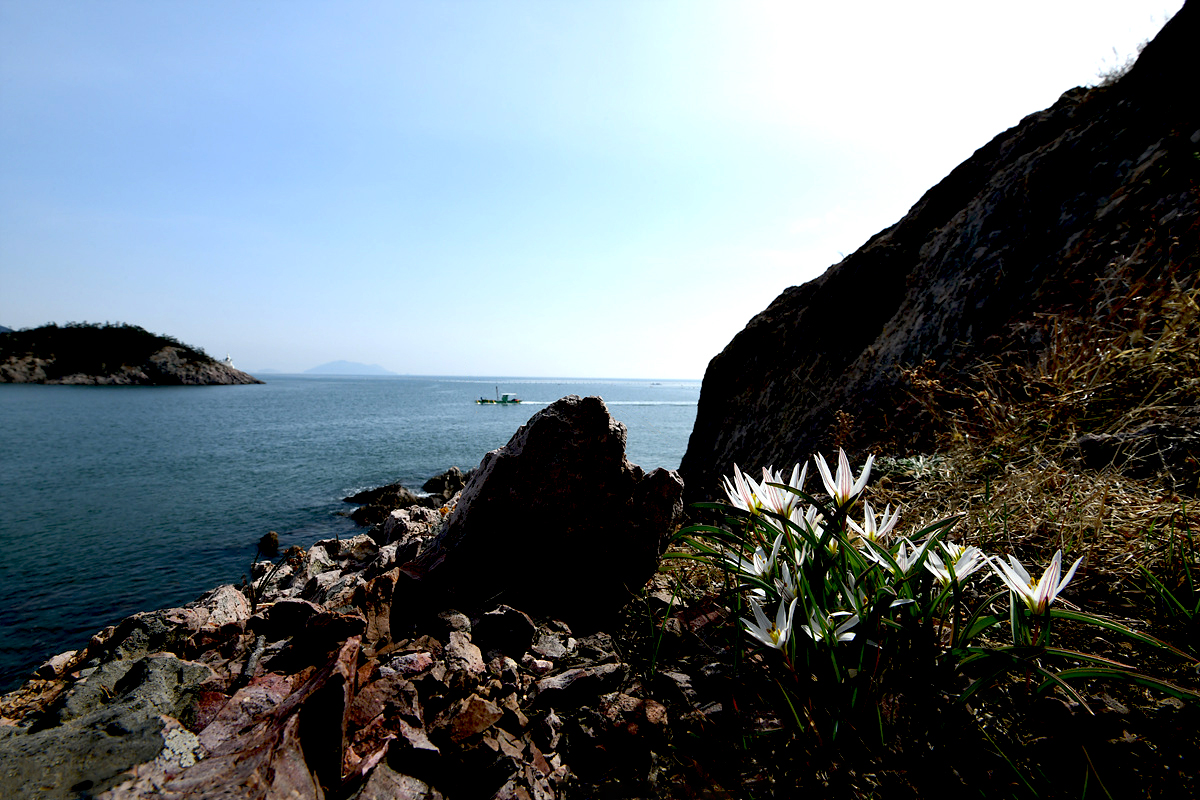 DSC_5078ccc.jpg