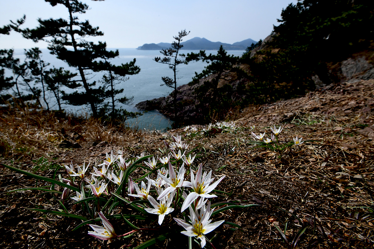 DSC_5023aaa.jpg