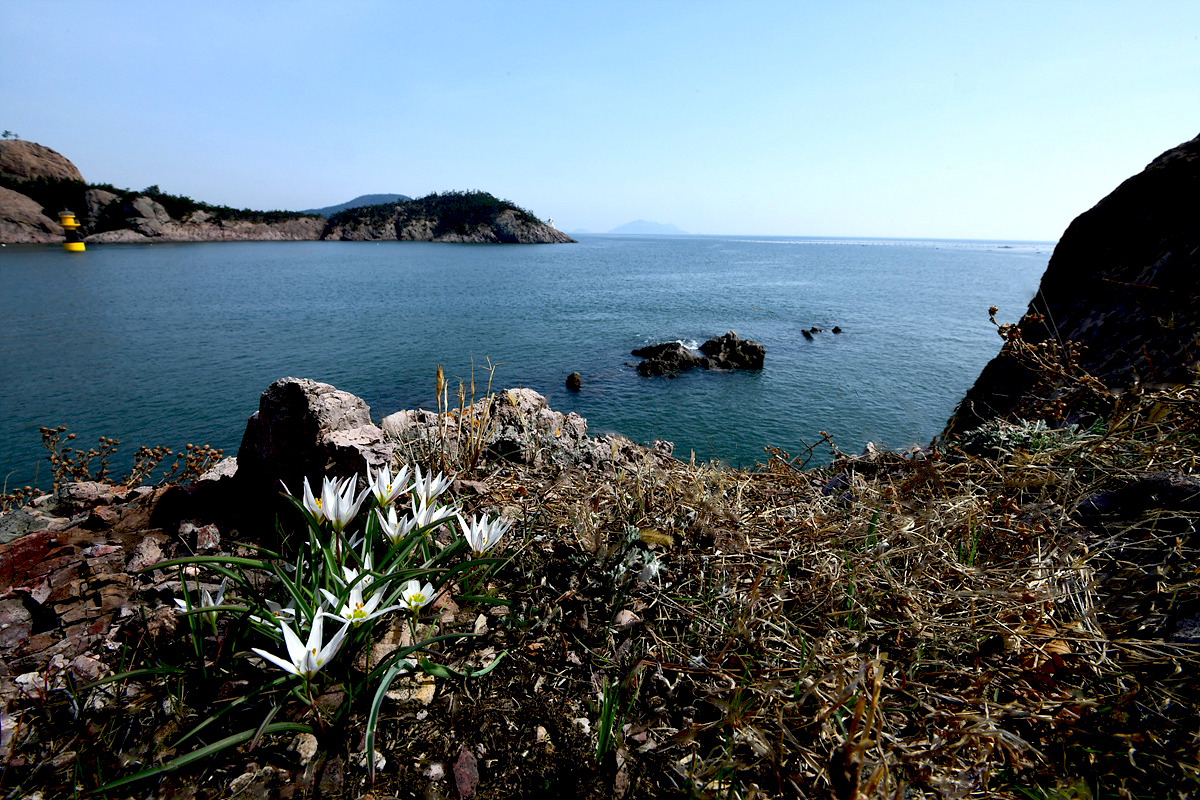 DSC_5075cc.jpg