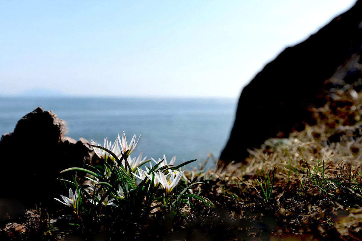 DSC_5087ss.jpg