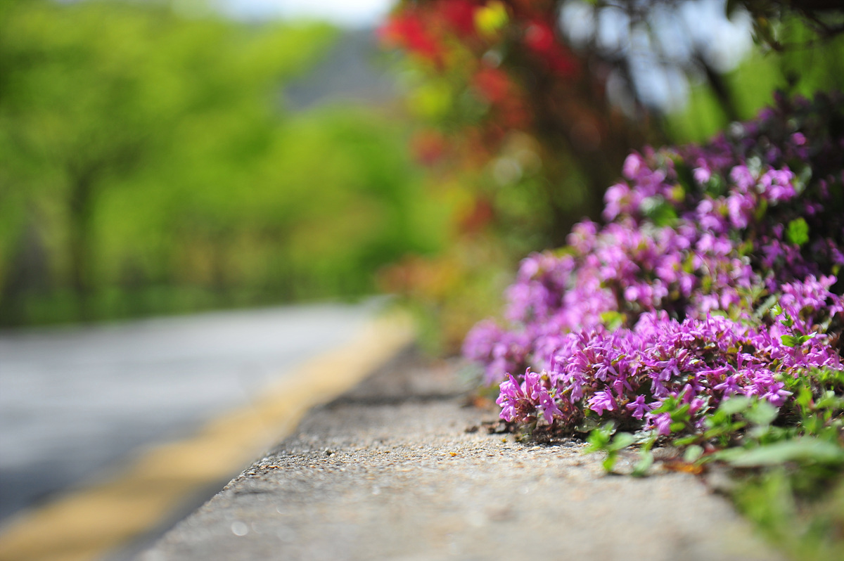 DSC_6084s.jpg