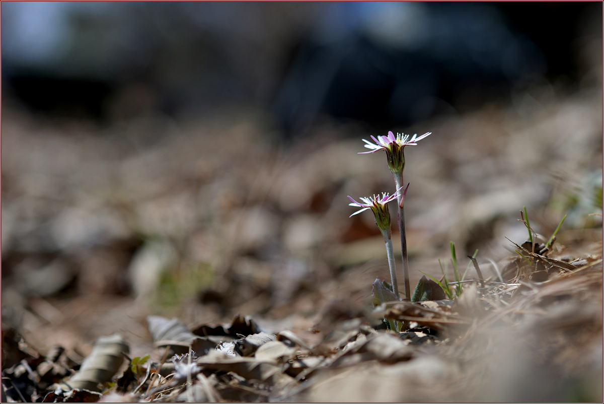 DSC_8395.jpg