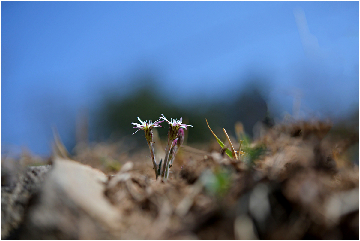 DSC_8416.jpg