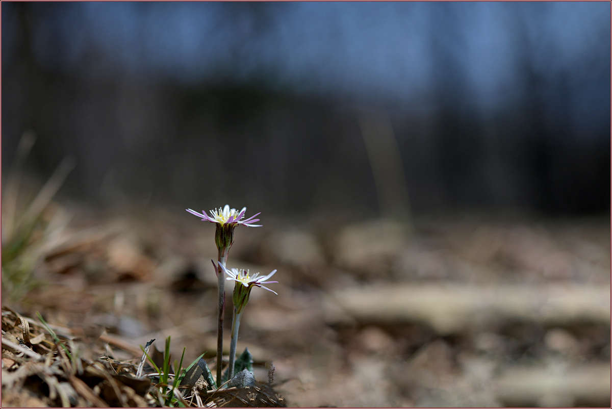 DSC_8391.jpg