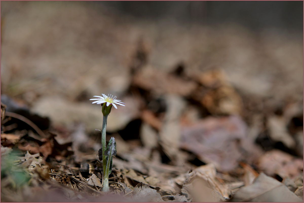 DSC_8390.jpg
