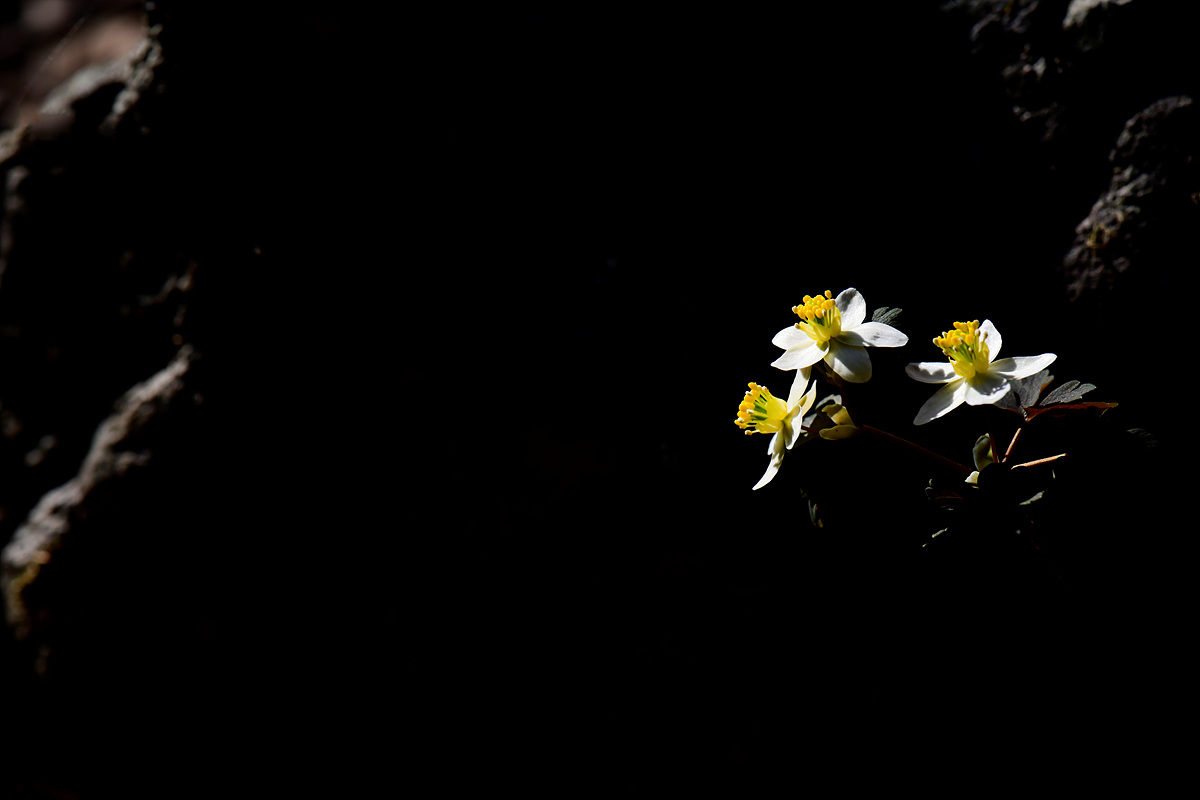 _DSC1572jppp.jpg