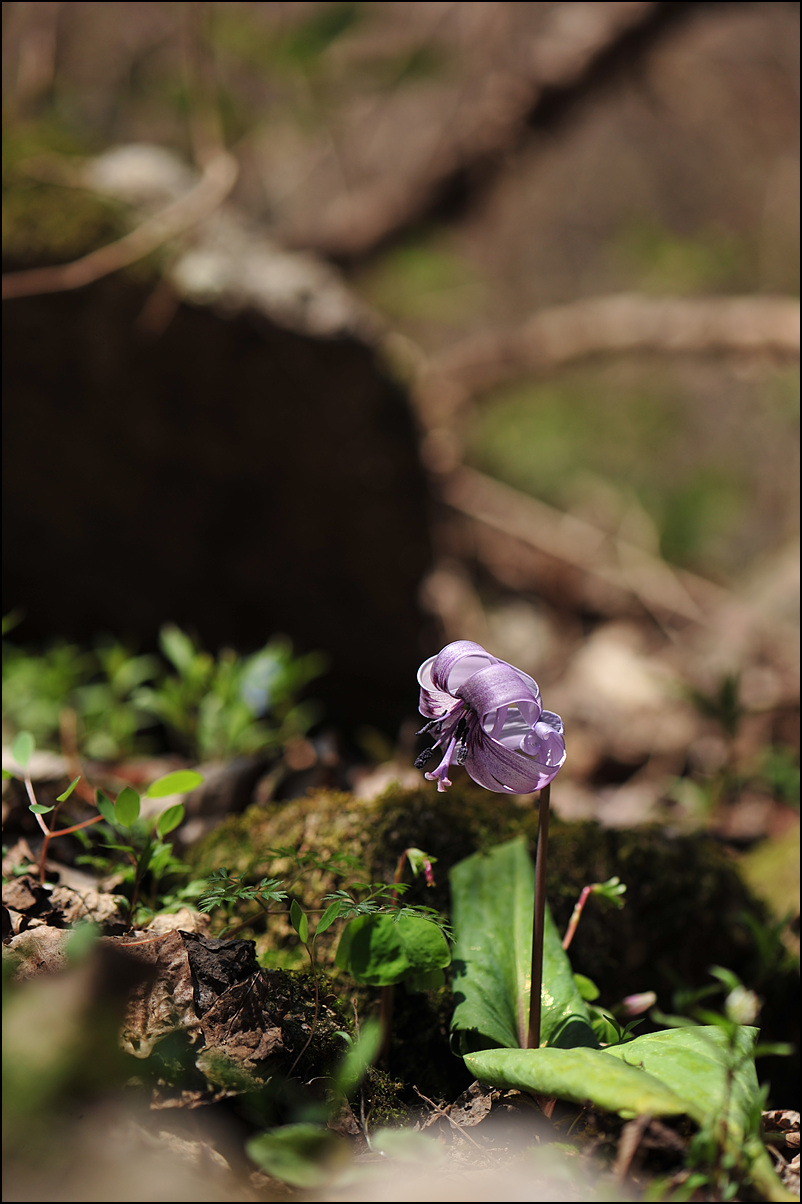 DSC_9214.jpg
