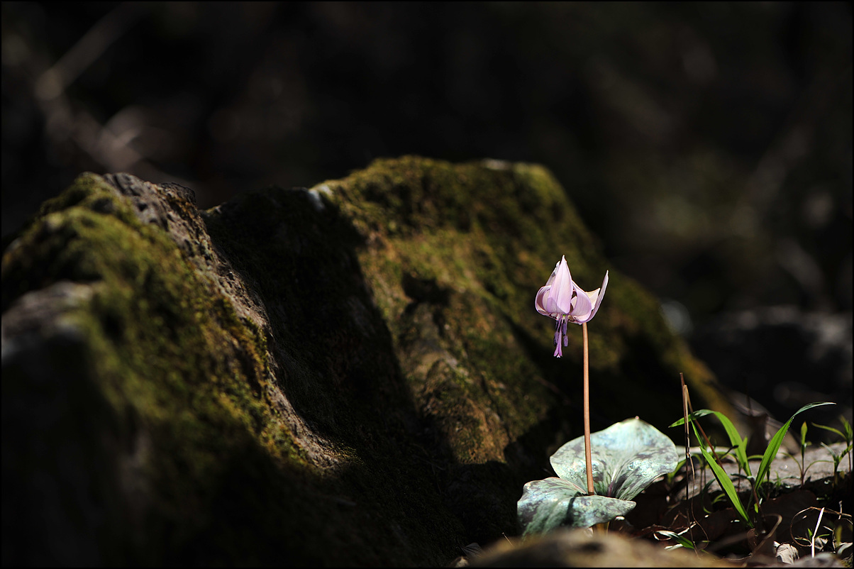 DSC_9324.jpg
