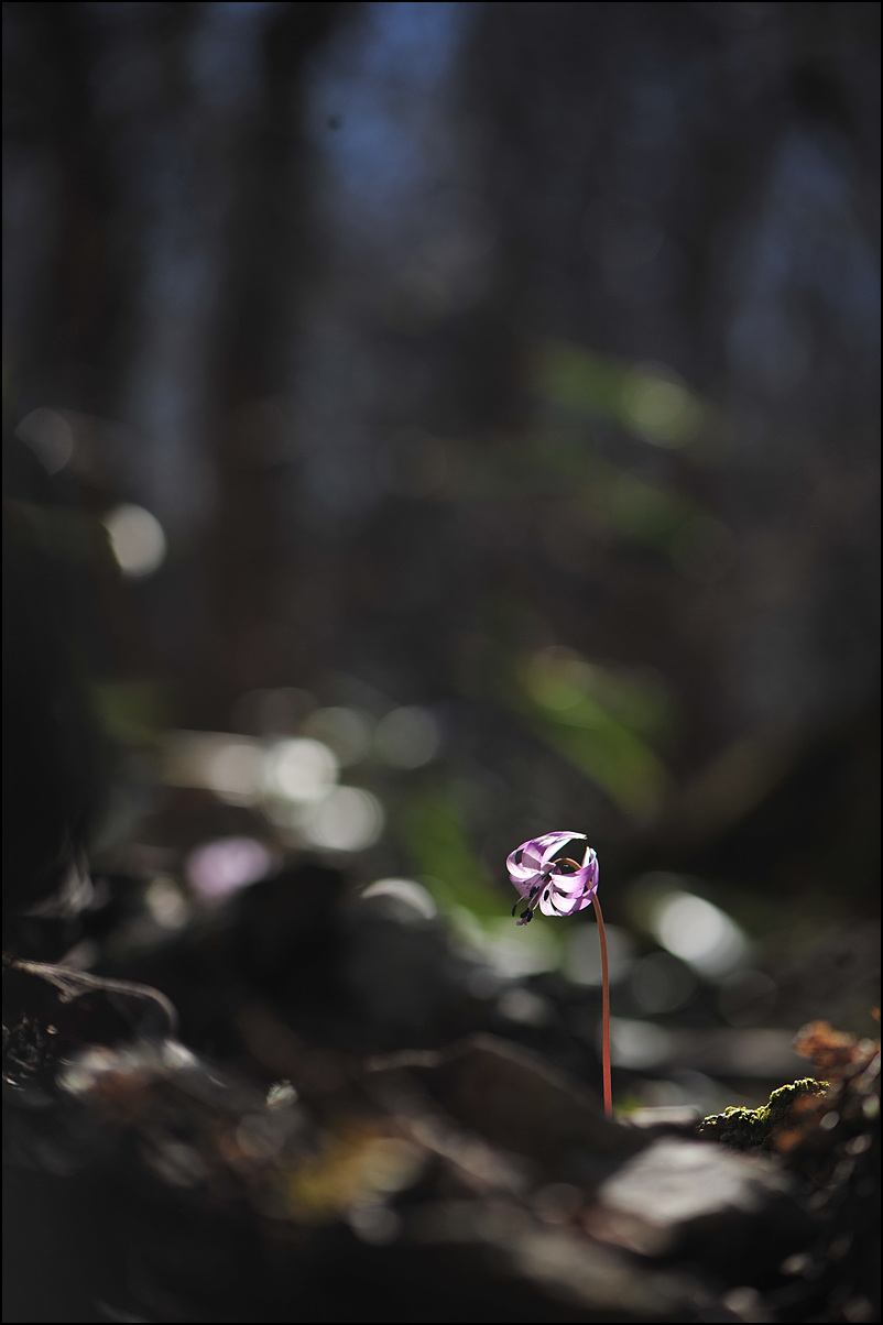 DSC_9256.jpg