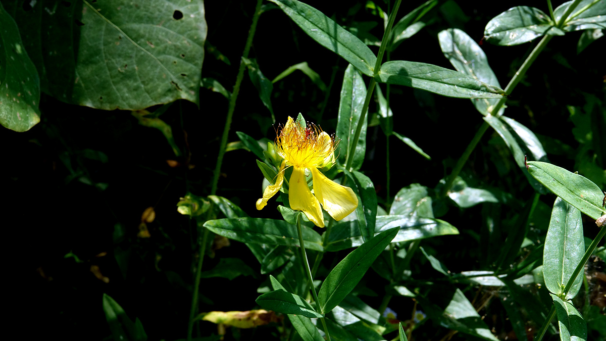 KHS06347.jpg