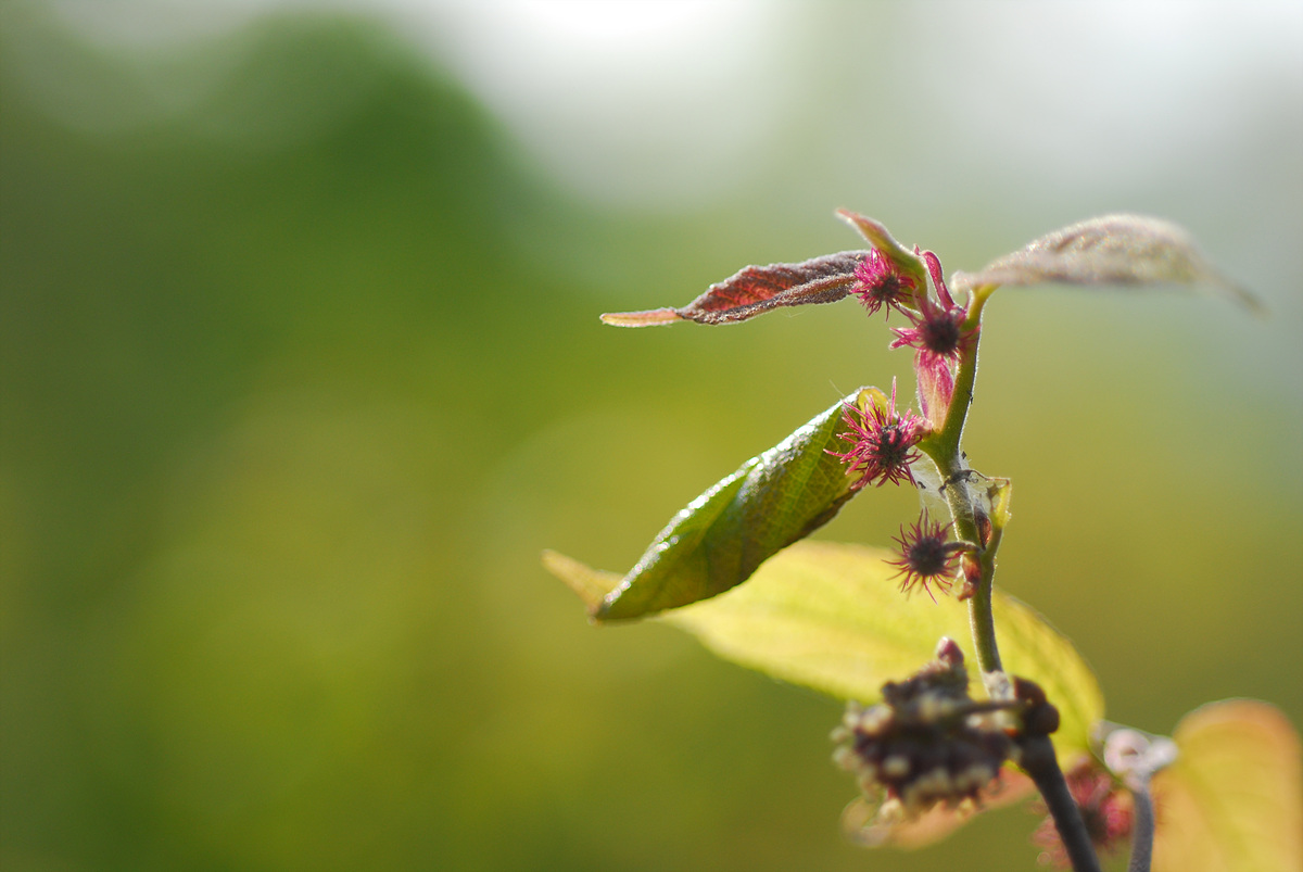 20100513n 589.jpg
