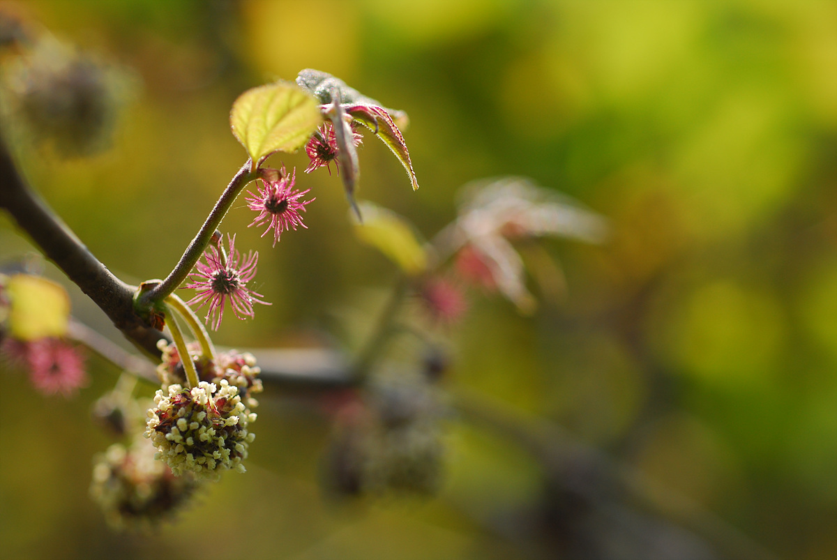 20100513n 579.jpg
