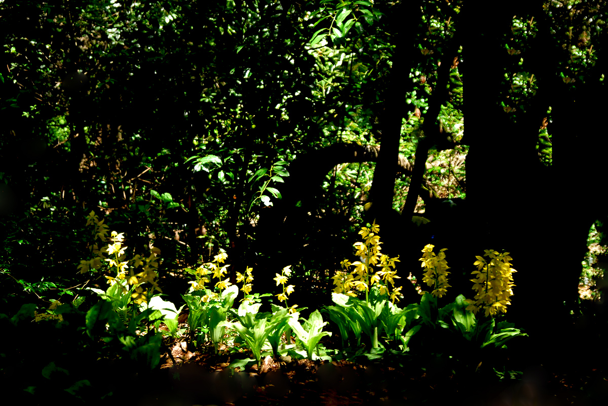20100508JJ 203s.jpg