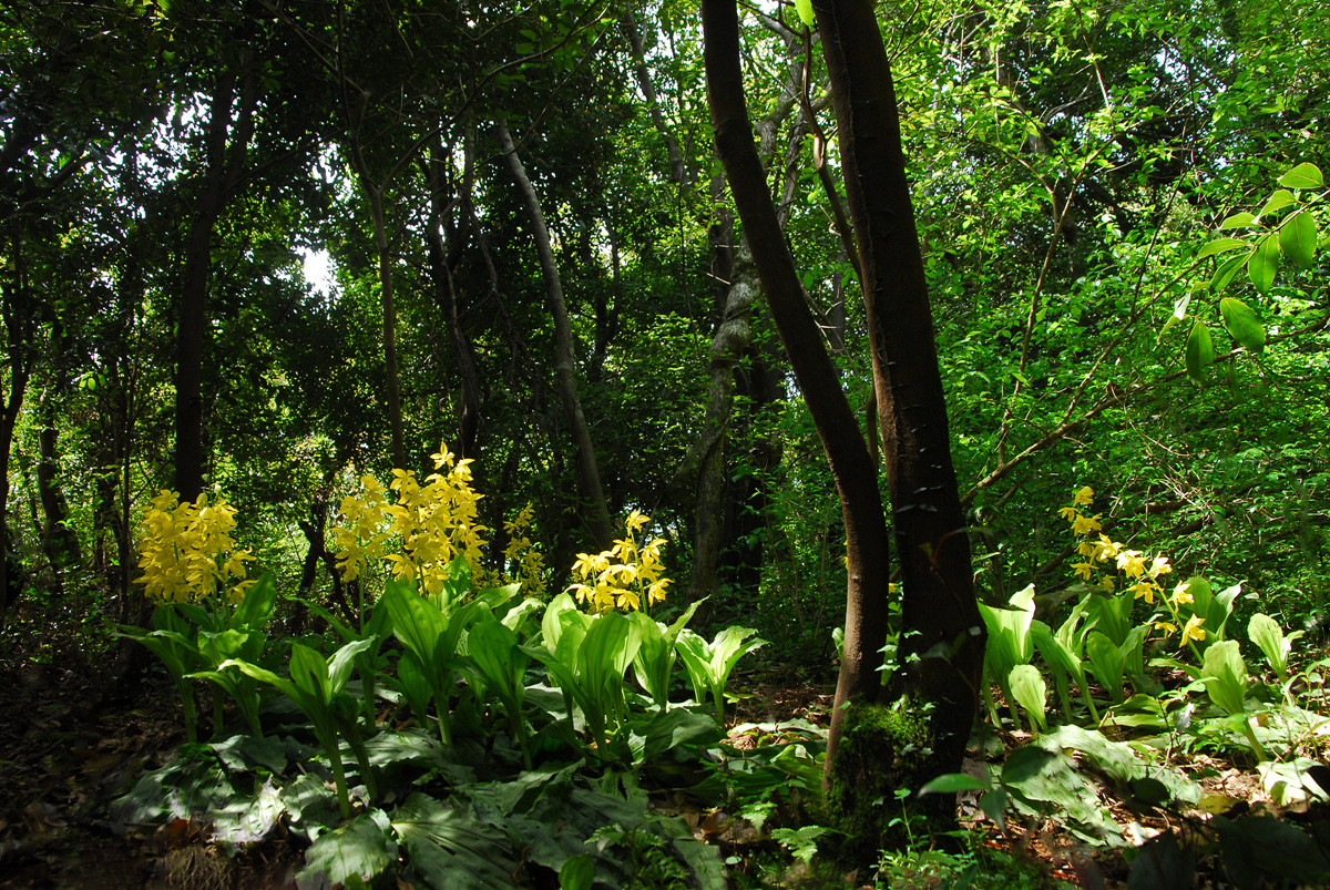 20100508JJ 363s.jpg
