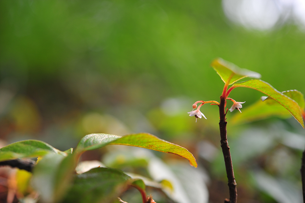 DSC_7165.jpg