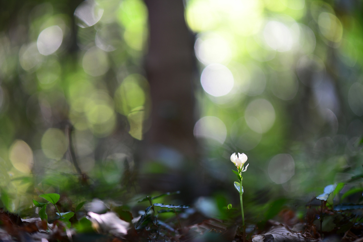 DSC_6271sss.jpg