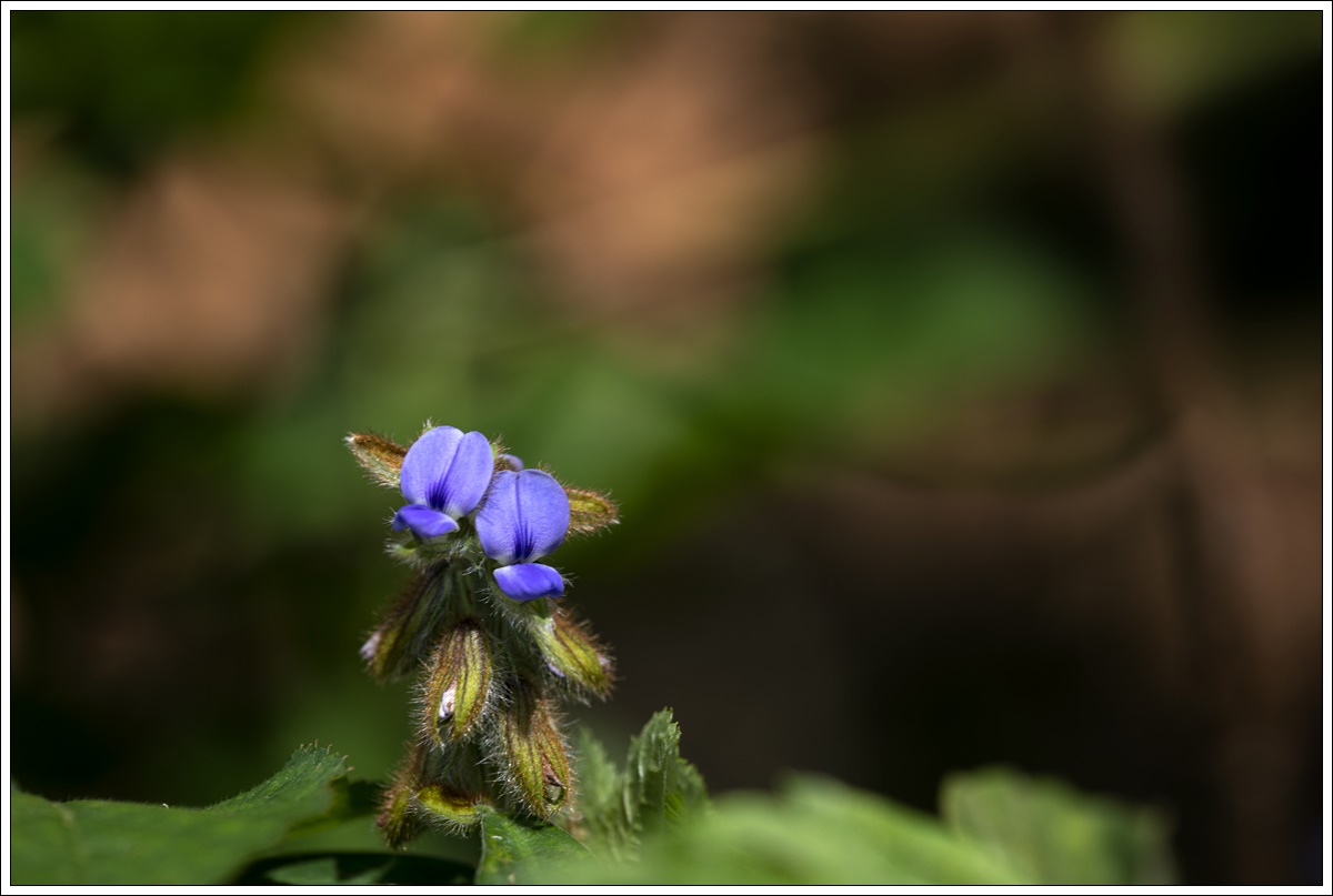 0L3A0746-1.jpg