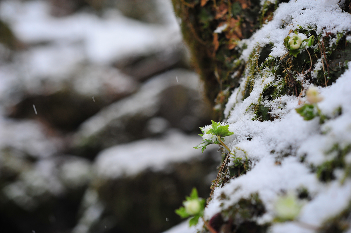 DSC_1032.jpg
