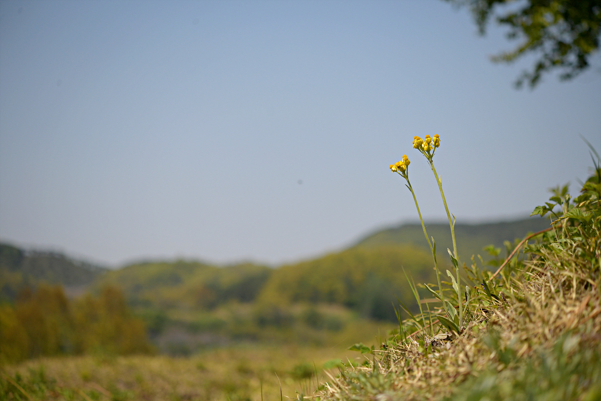 DSC_8945.jpg