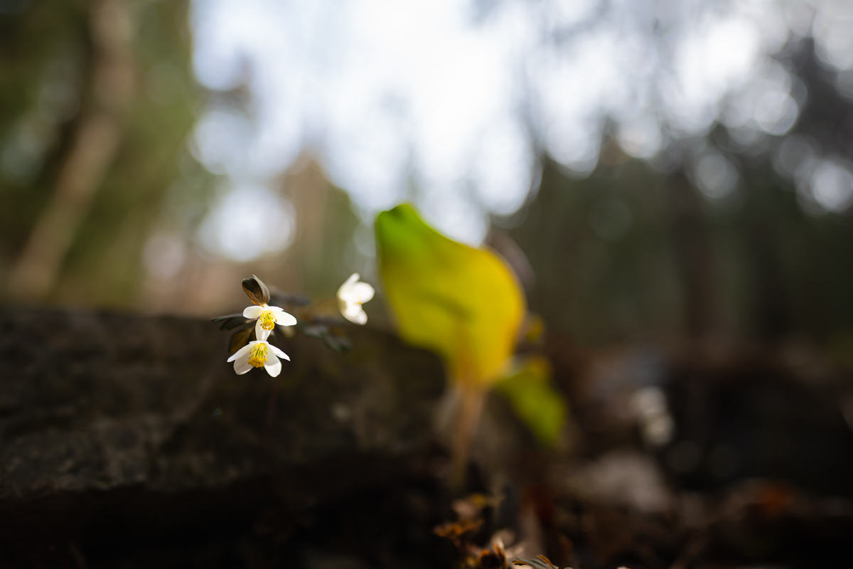 DSC_8972.jpg