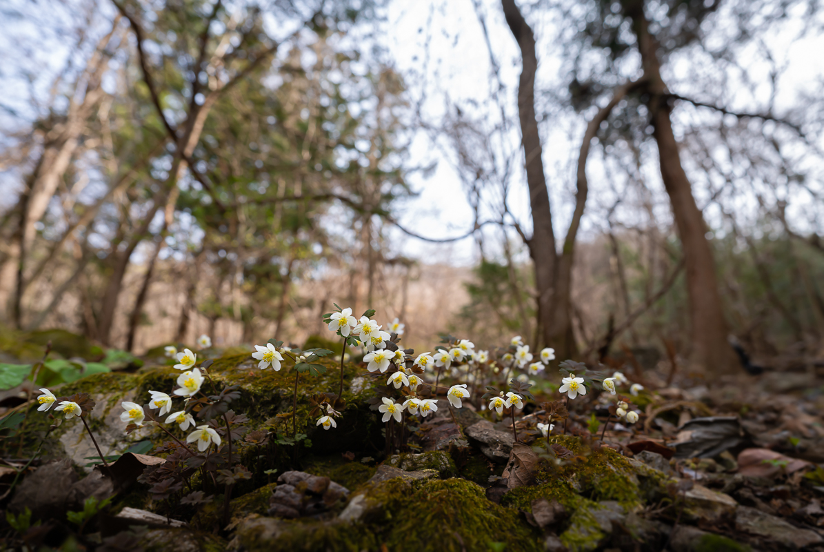 DSC_8965.jpg