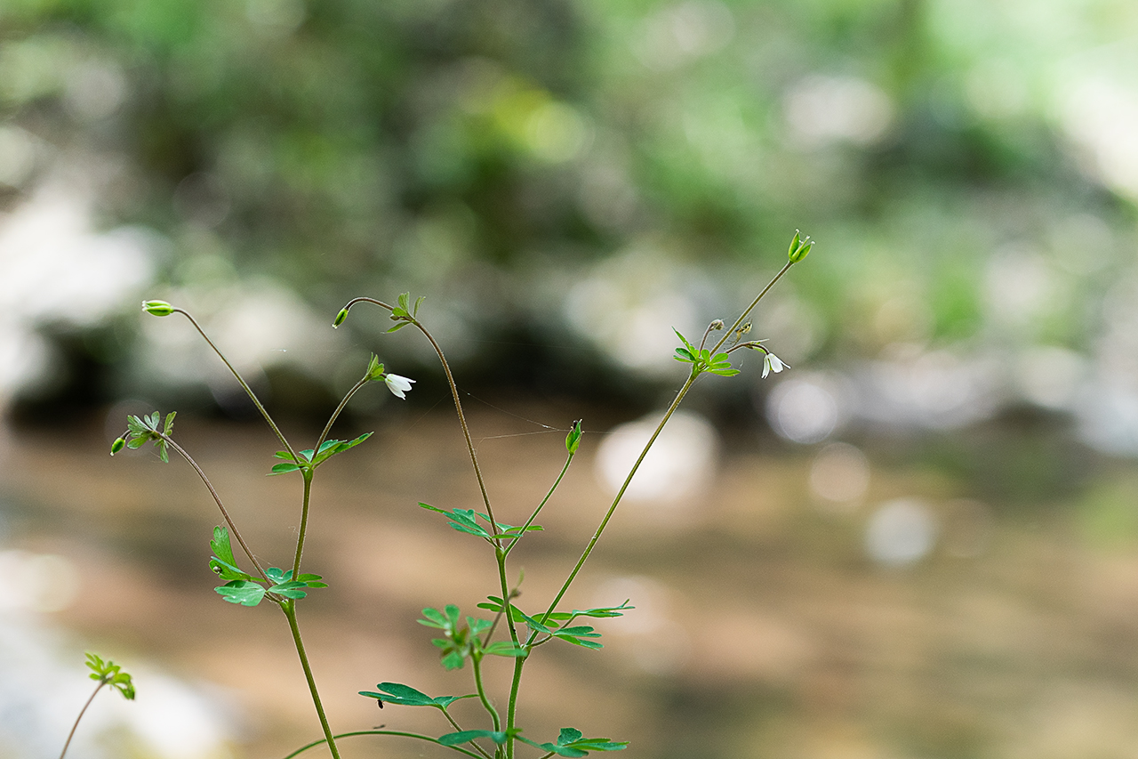 _DSC5779 복사.jpg