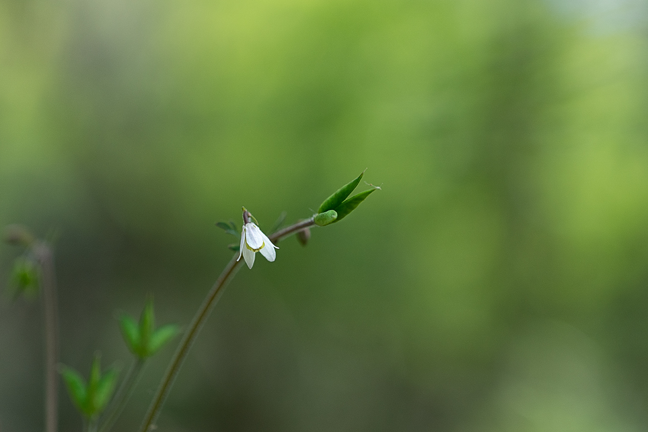 _DSC5789 복사.jpg