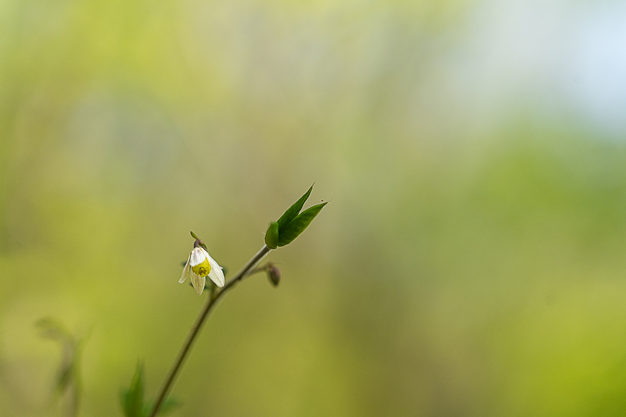 _DSC5792 복사.jpg
