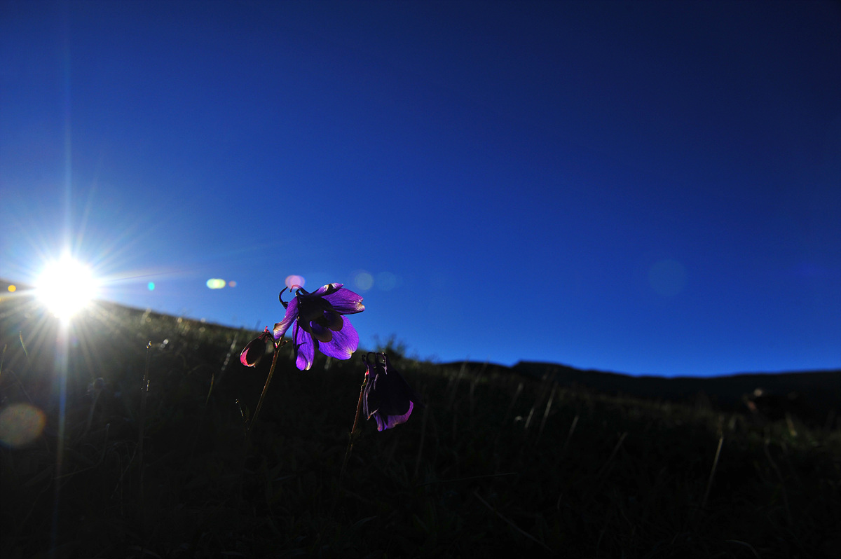 DSC_4548a.jpg