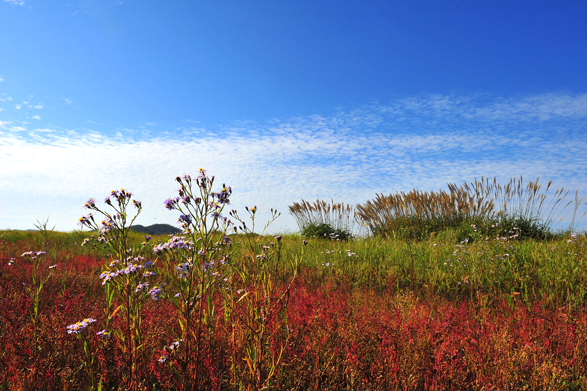 DSC_8847s.jpg