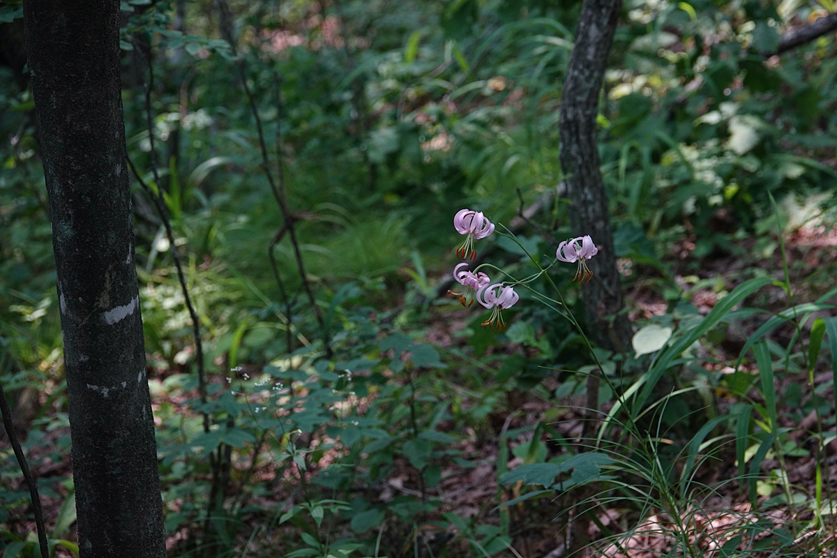 24-07-12 (70)-1.JPG