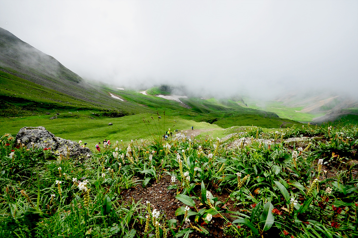 DSC_6399a.jpg