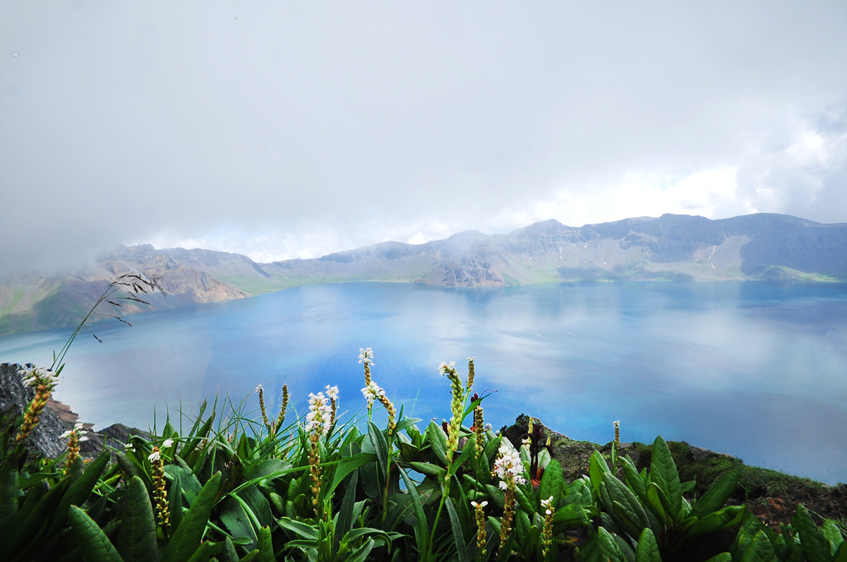 DSC_6340a.jpg