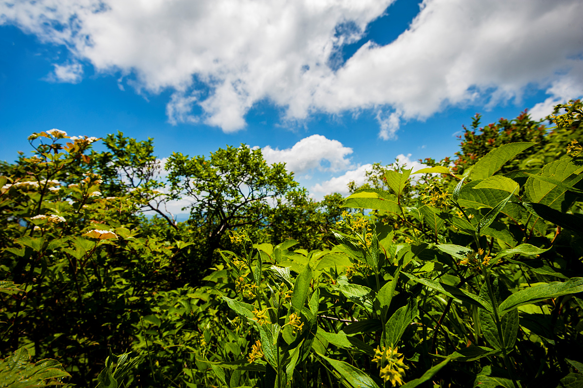 DSC_2488ss.jpg