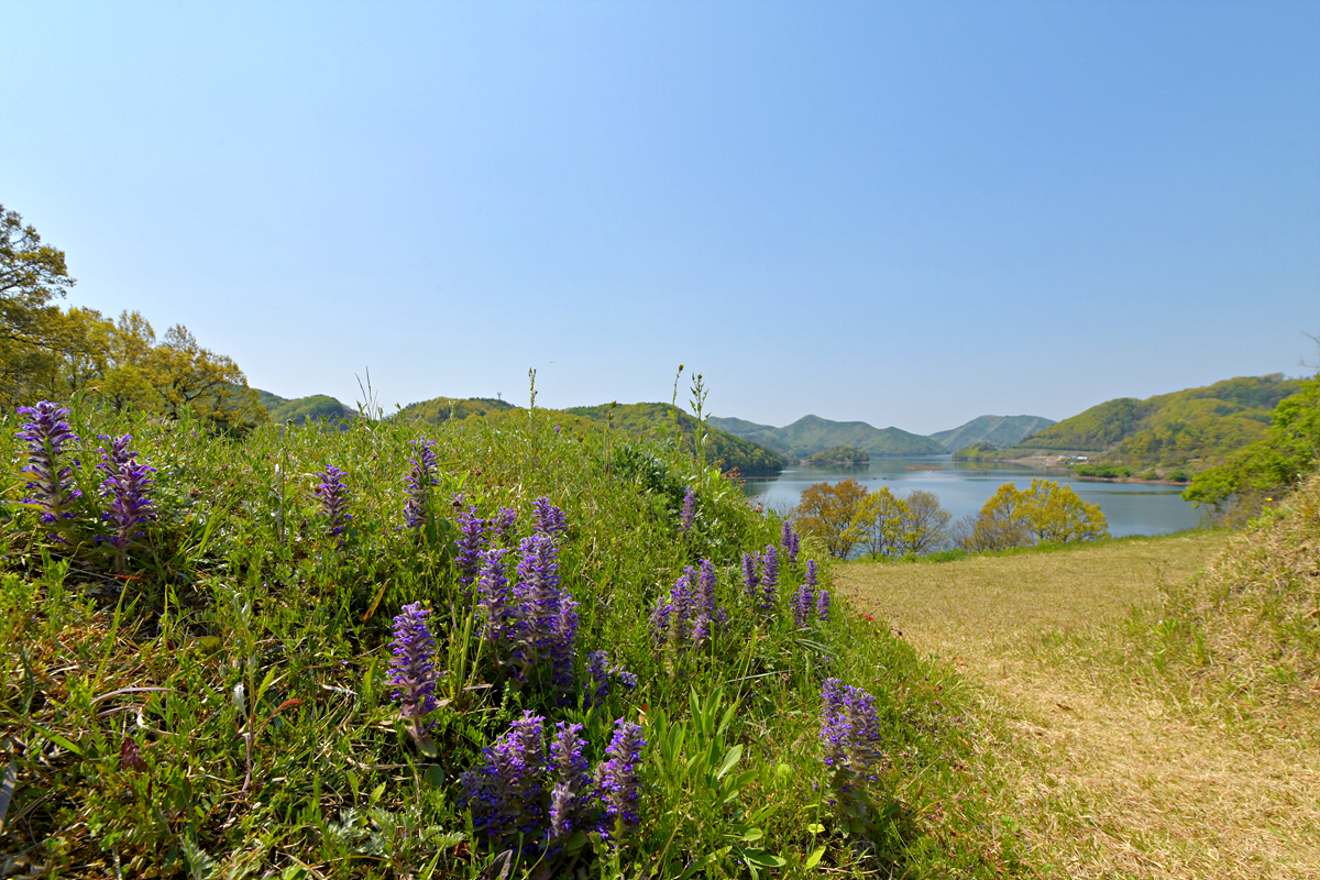 DSC_8913.jpg