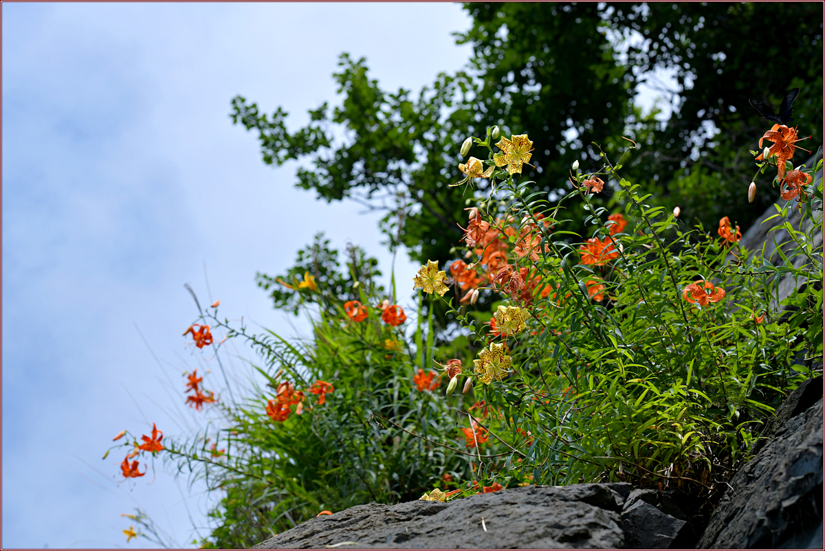DSC_3933.jpg