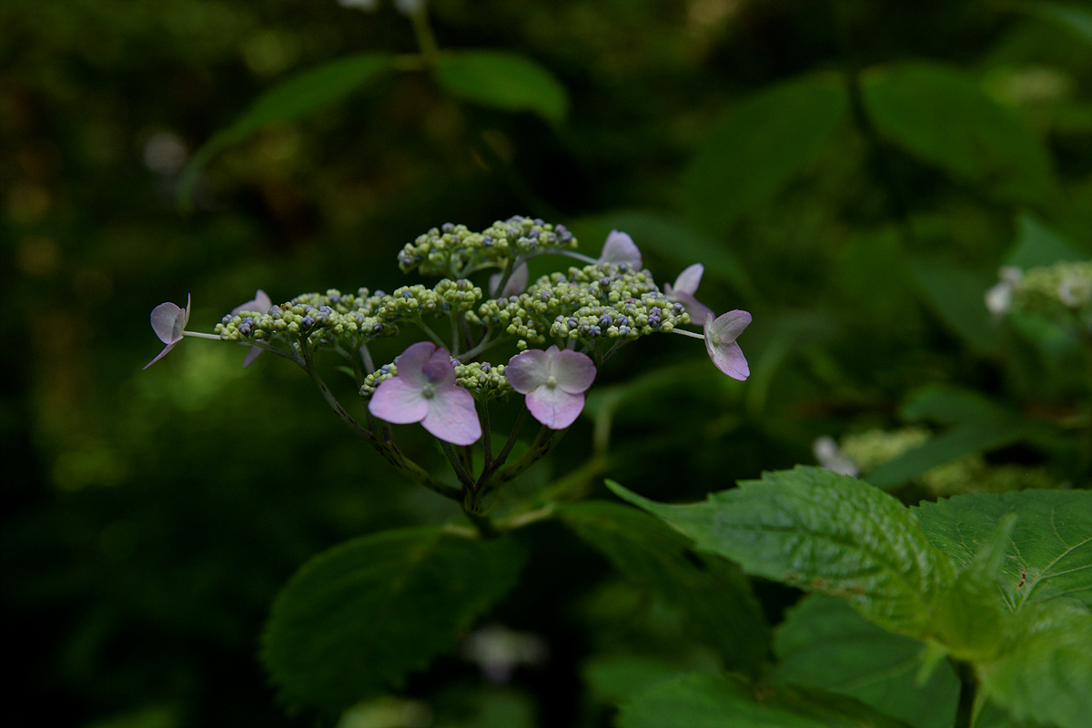 _DSC9673.jpg