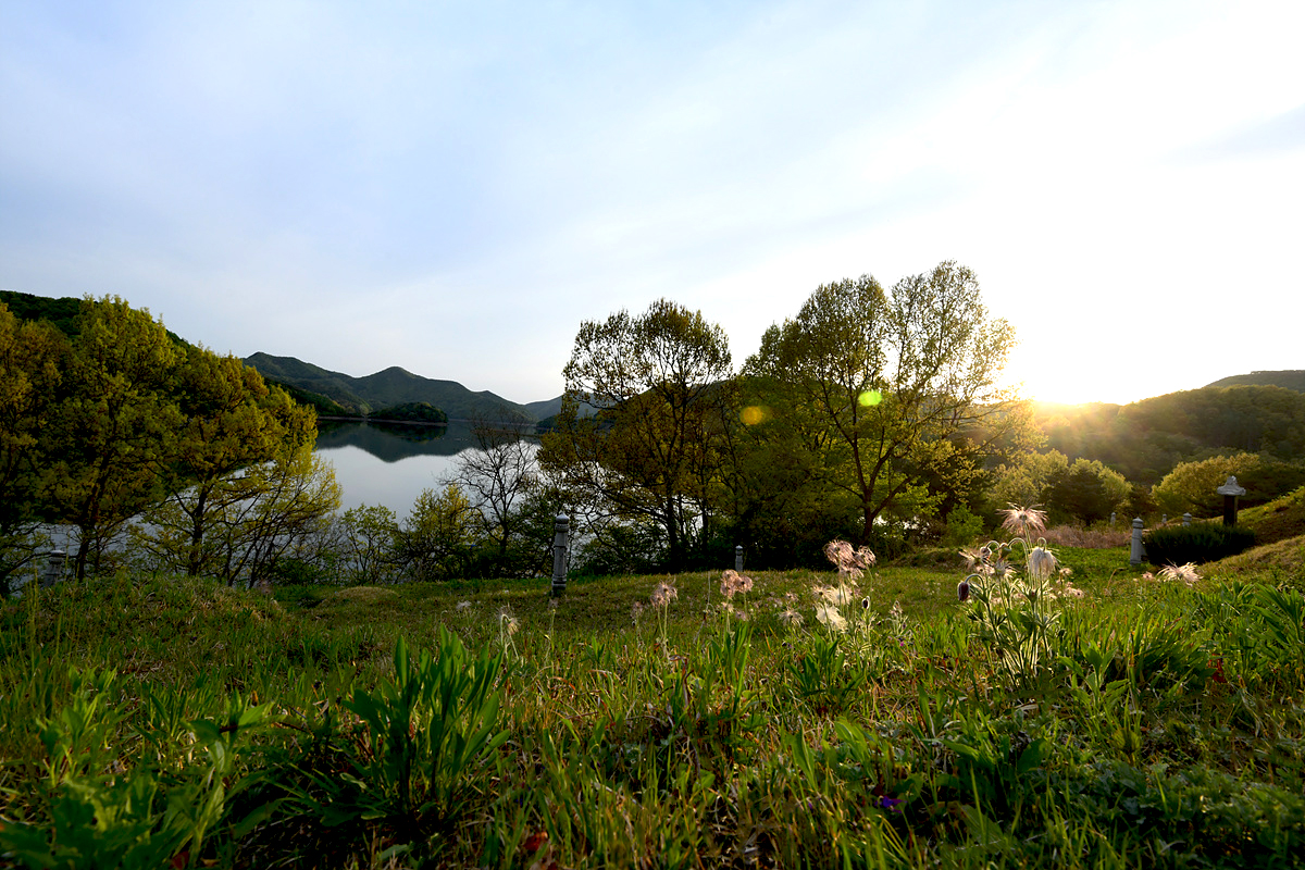 DSC_4235aaa.jpg
