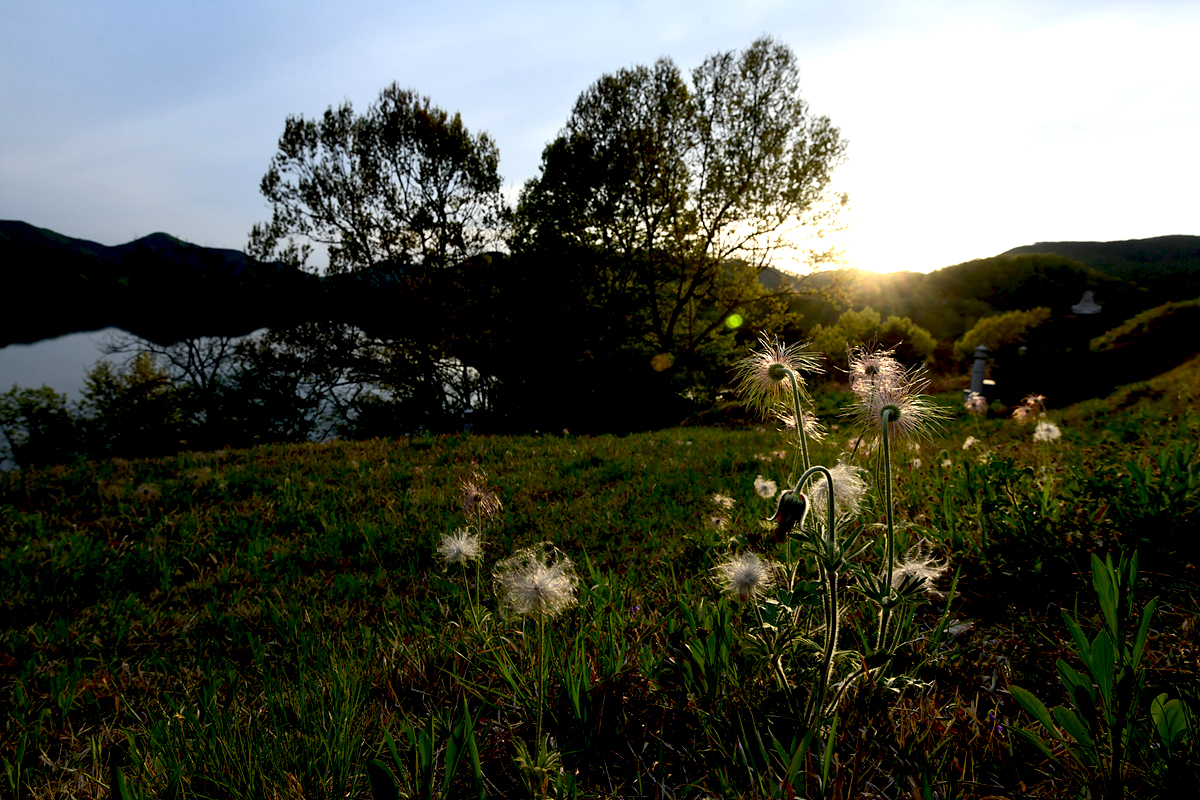 DSC_4243aaa.jpg