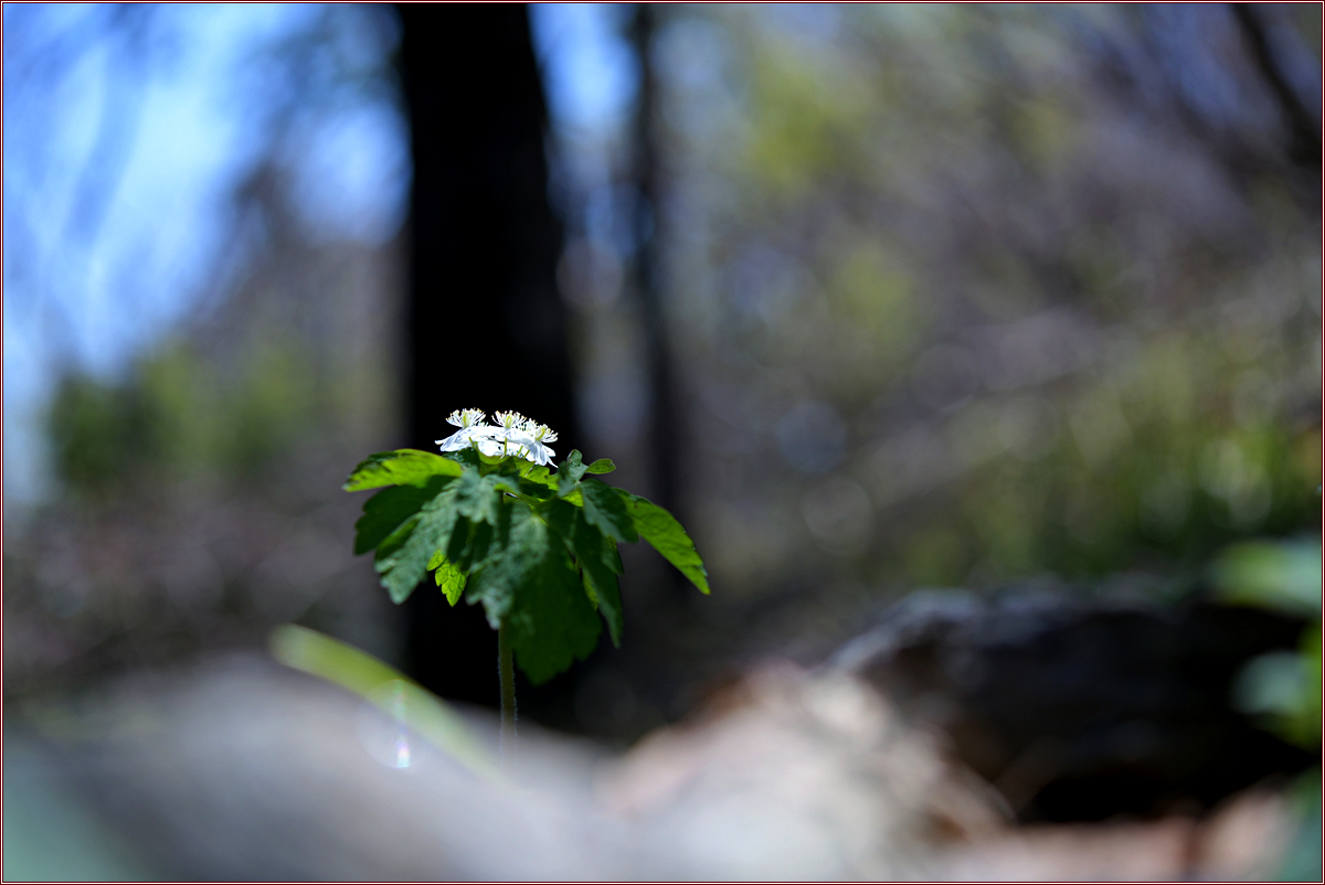 DSC_8753.jpg