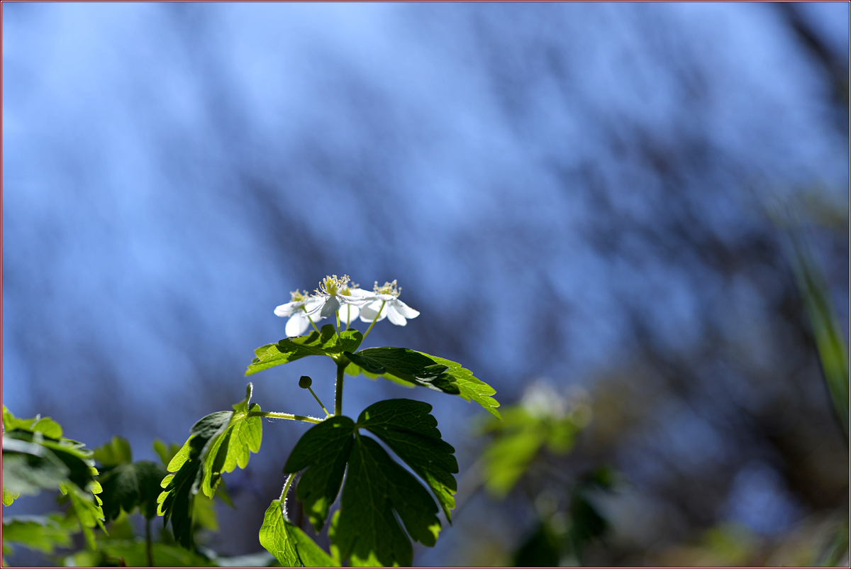 DSC_8754.jpg