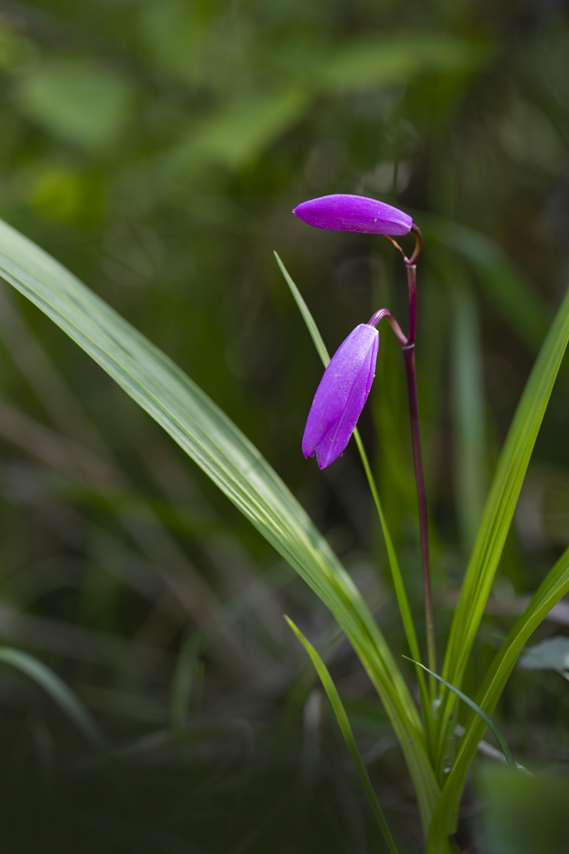 IMG_9060.jpg