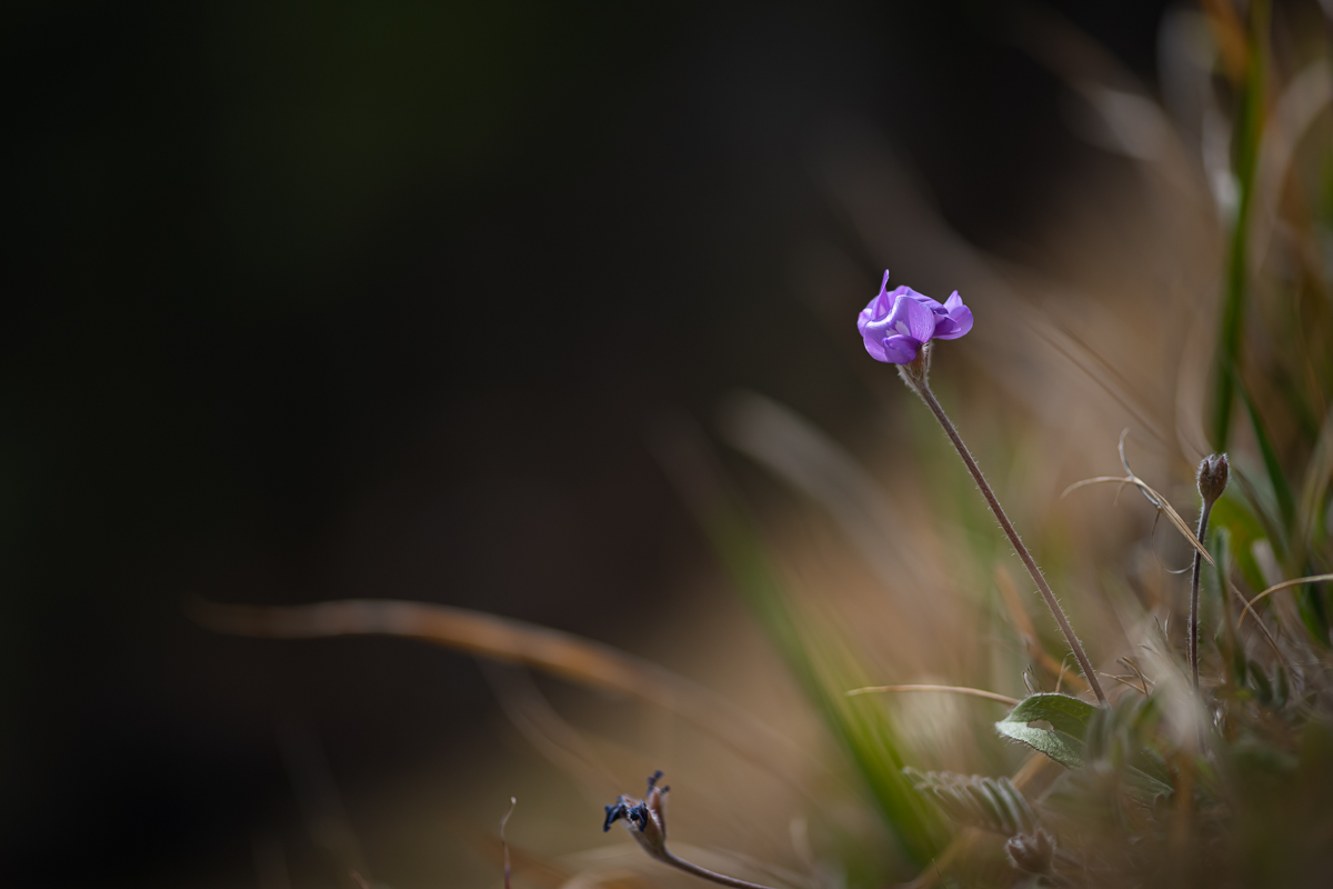 DSC_1562.jpg
