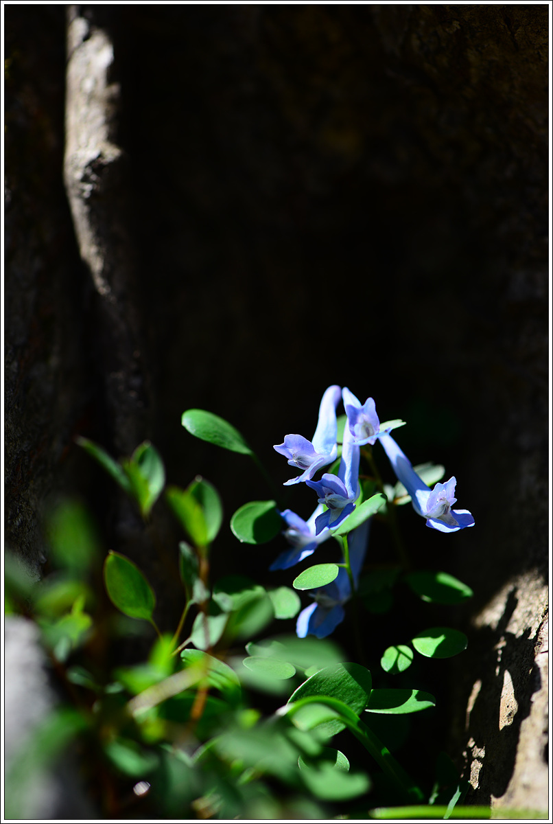 CJH_8700 완.jpg