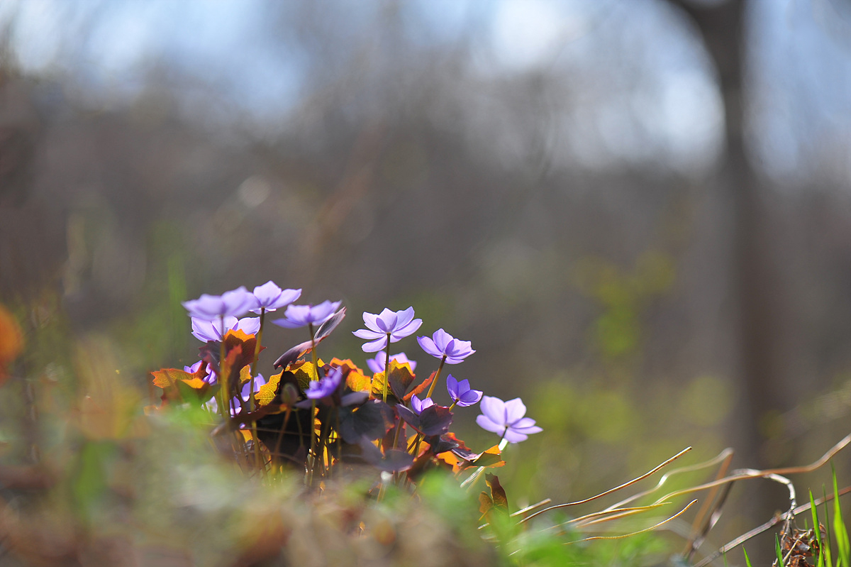 DSC_1671s.jpg