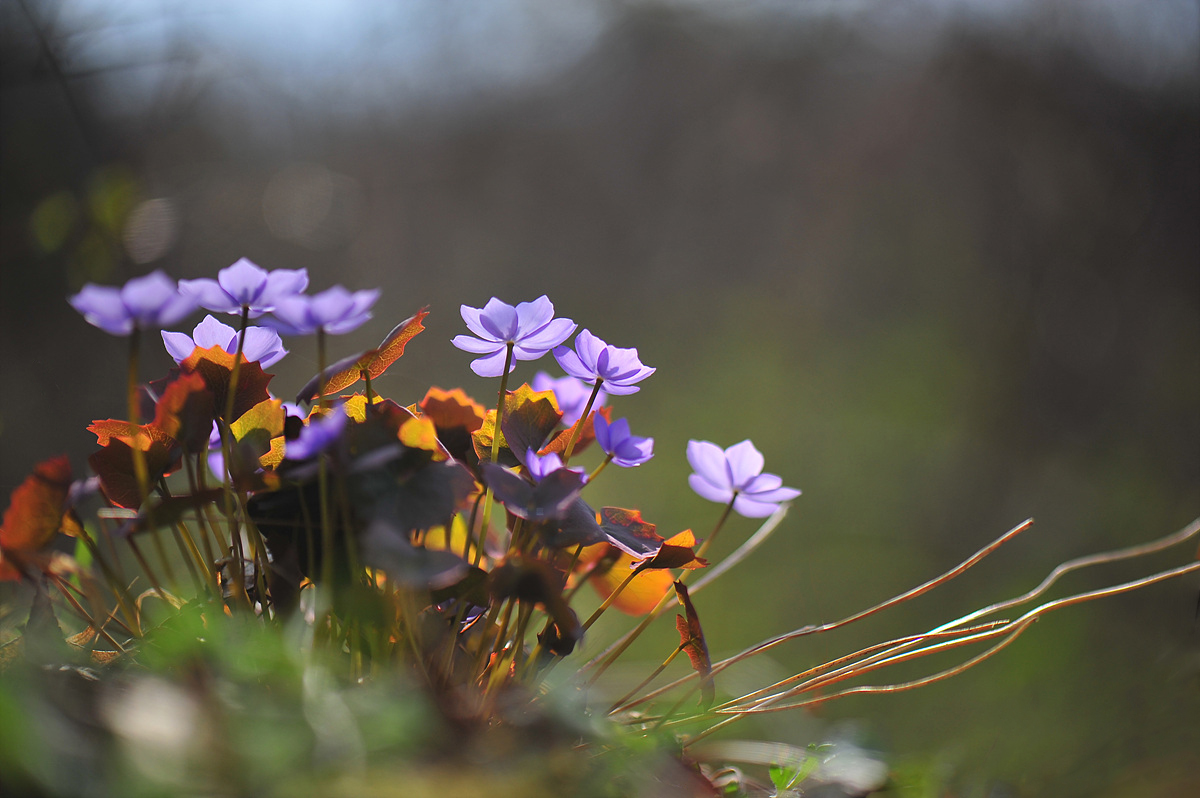 DSC_1680s.jpg